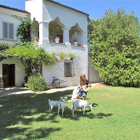Agriturismo "Borgo Madonna Degli Angeli" - Charming Cottages In The Gardens ! Tocco da Casauria ภายนอก รูปภาพ