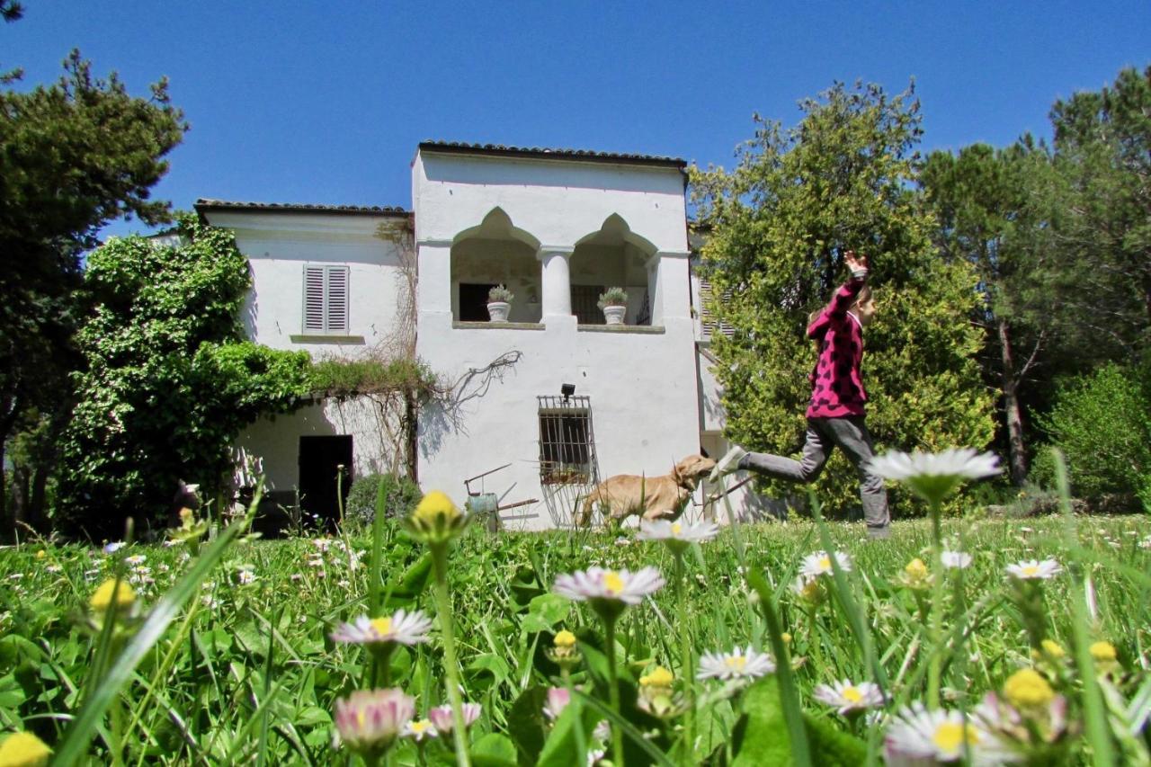 Agriturismo "Borgo Madonna Degli Angeli" - Charming Cottages In The Gardens ! Tocco da Casauria ภายนอก รูปภาพ