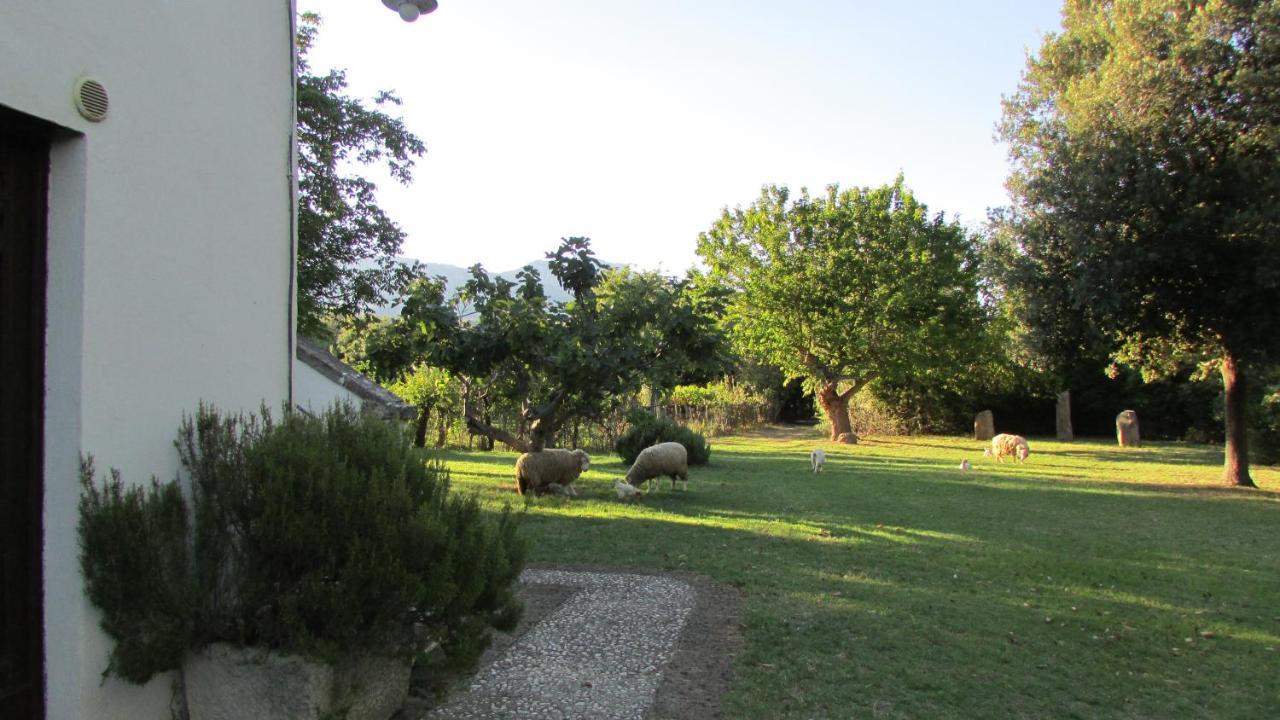 Agriturismo "Borgo Madonna Degli Angeli" - Charming Cottages In The Gardens ! Tocco da Casauria ภายนอก รูปภาพ