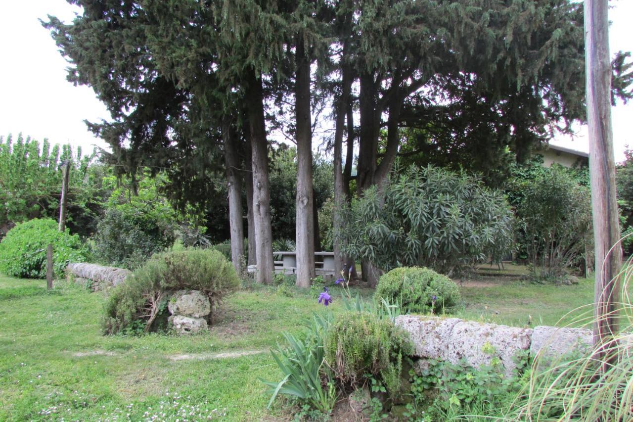 Agriturismo "Borgo Madonna Degli Angeli" - Charming Cottages In The Gardens ! Tocco da Casauria ภายนอก รูปภาพ