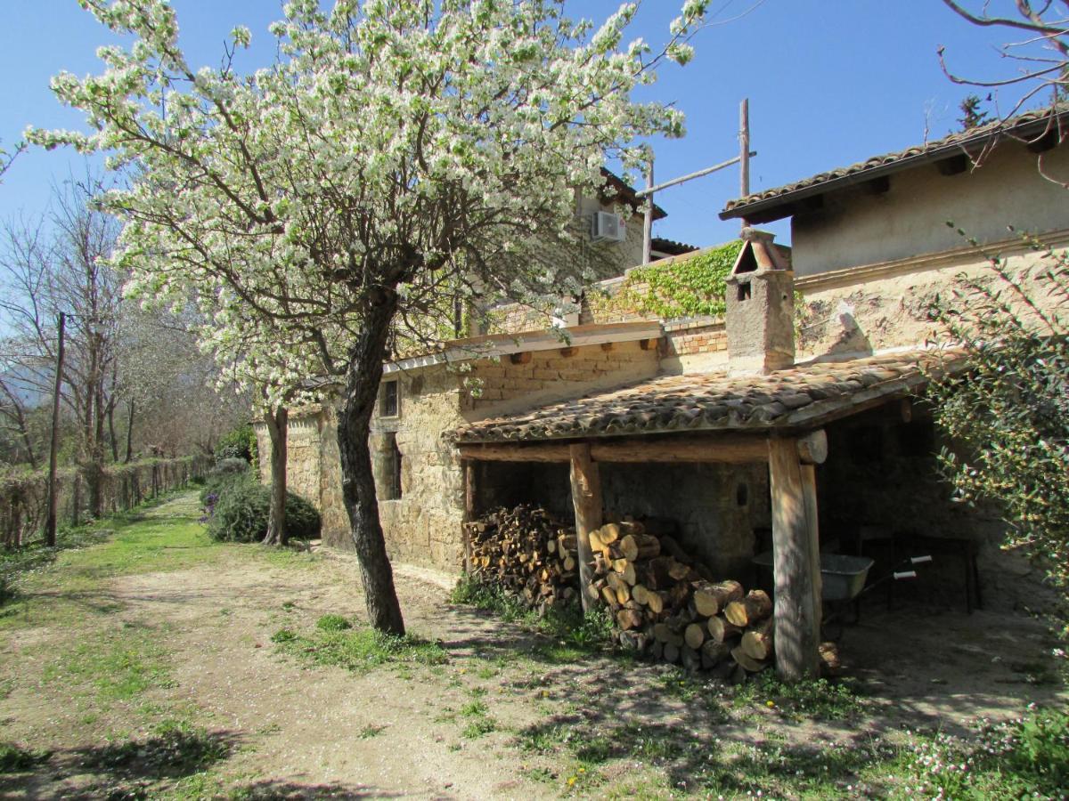Agriturismo "Borgo Madonna Degli Angeli" - Charming Cottages In The Gardens ! Tocco da Casauria ภายนอก รูปภาพ