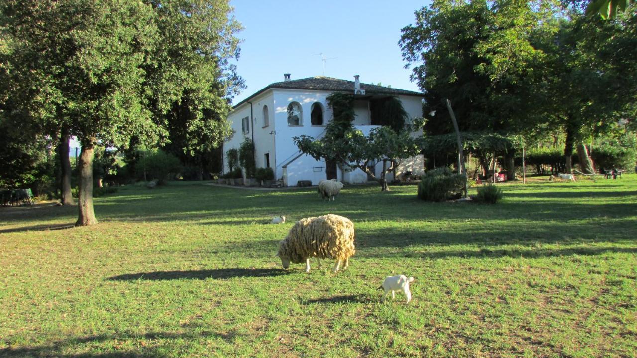 Agriturismo "Borgo Madonna Degli Angeli" - Charming Cottages In The Gardens ! Tocco da Casauria ภายนอก รูปภาพ