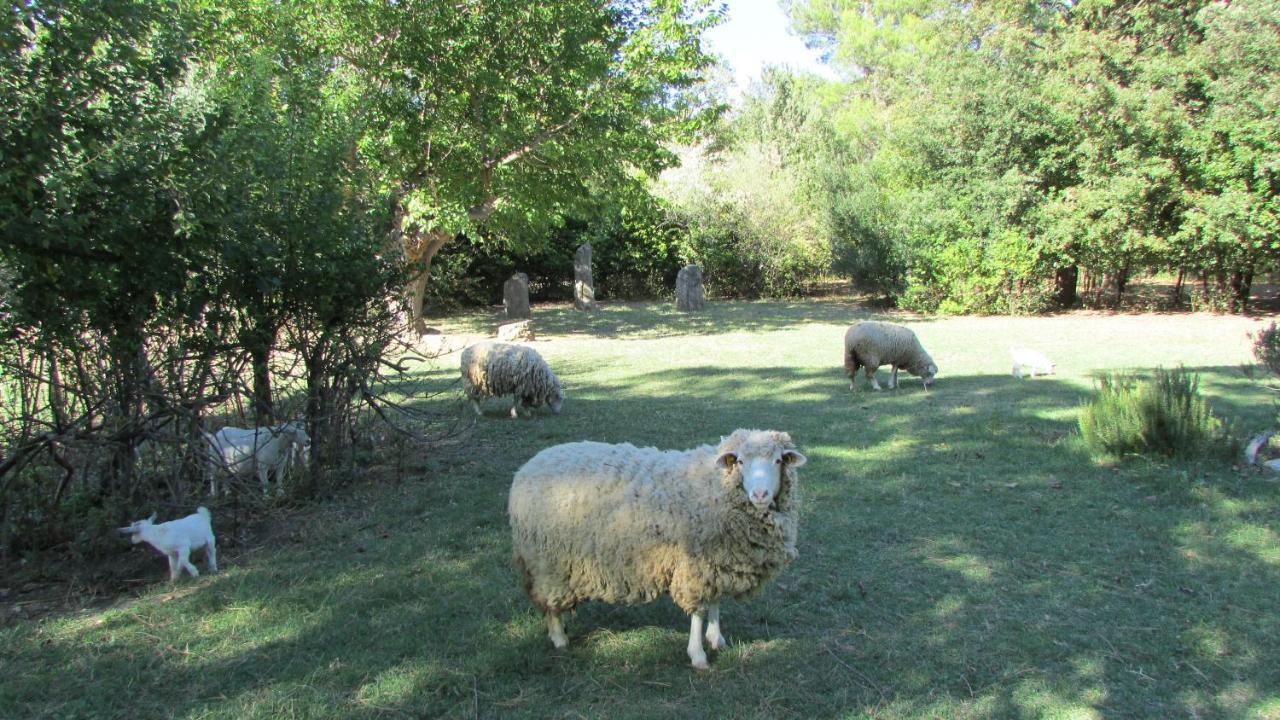 Agriturismo "Borgo Madonna Degli Angeli" - Charming Cottages In The Gardens ! Tocco da Casauria ภายนอก รูปภาพ