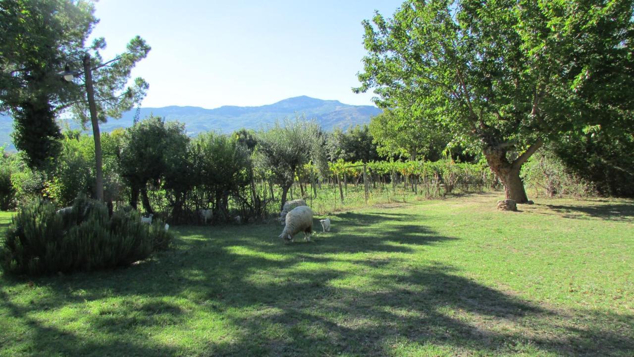 Agriturismo "Borgo Madonna Degli Angeli" - Charming Cottages In The Gardens ! Tocco da Casauria ภายนอก รูปภาพ