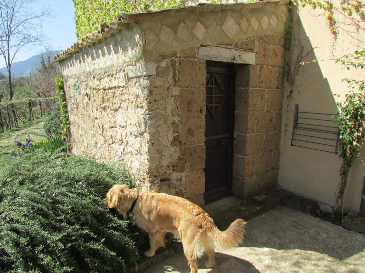 Agriturismo "Borgo Madonna Degli Angeli" - Charming Cottages In The Gardens ! Tocco da Casauria ภายนอก รูปภาพ