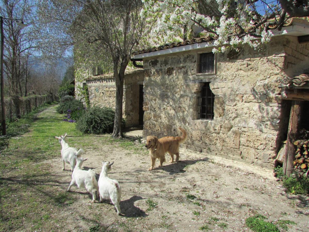 Agriturismo "Borgo Madonna Degli Angeli" - Charming Cottages In The Gardens ! Tocco da Casauria ภายนอก รูปภาพ