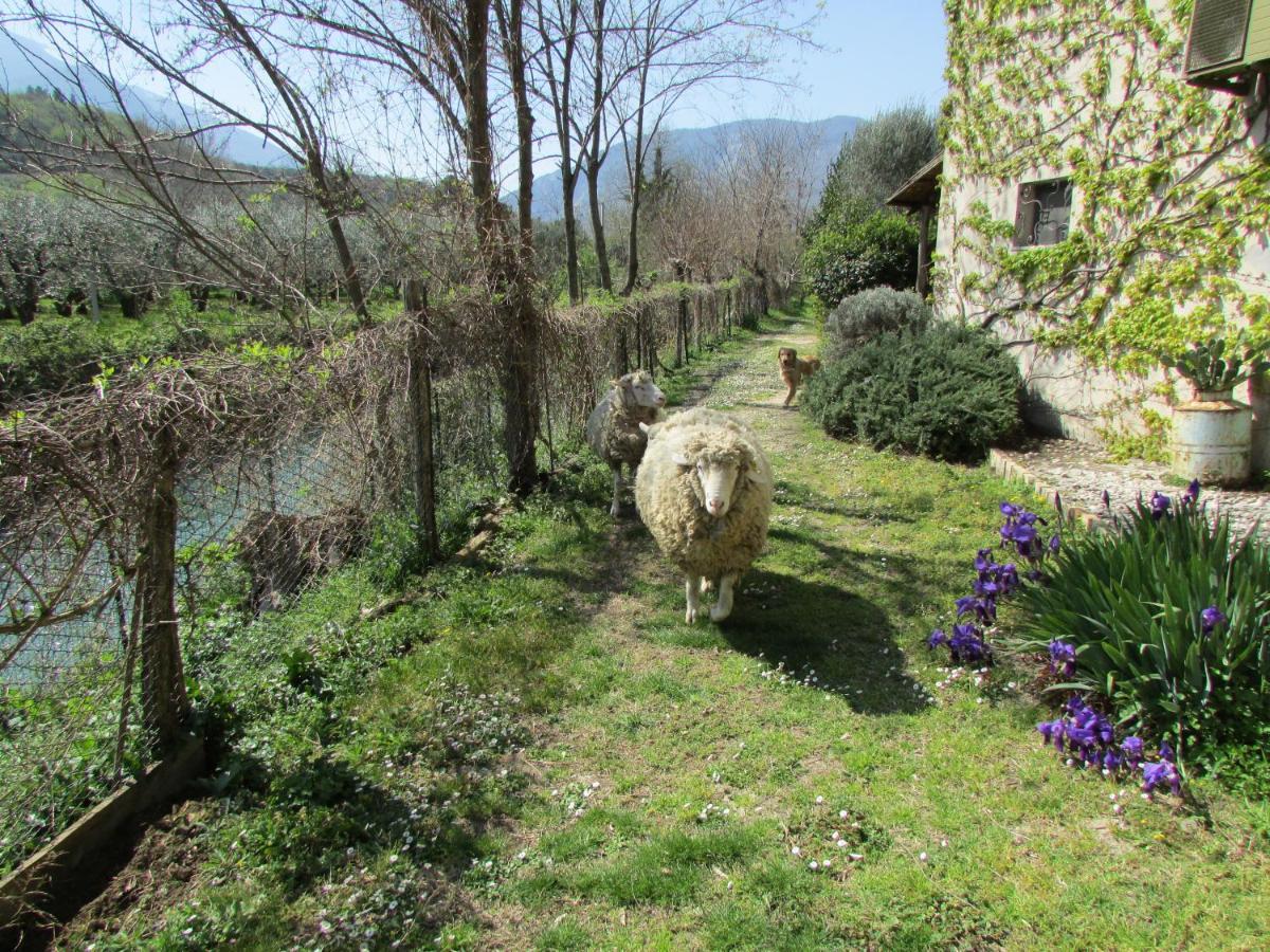 Agriturismo "Borgo Madonna Degli Angeli" - Charming Cottages In The Gardens ! Tocco da Casauria ภายนอก รูปภาพ