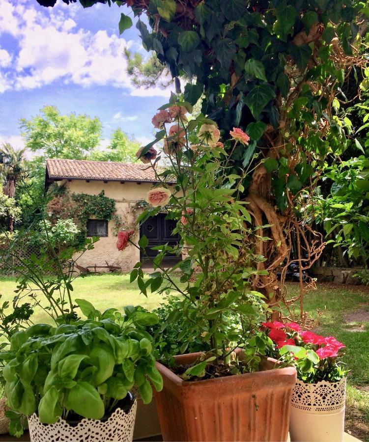Agriturismo "Borgo Madonna Degli Angeli" - Charming Cottages In The Gardens ! Tocco da Casauria ภายนอก รูปภาพ