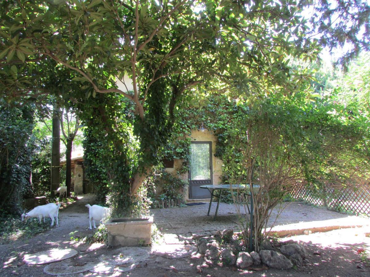 Agriturismo "Borgo Madonna Degli Angeli" - Charming Cottages In The Gardens ! Tocco da Casauria ภายนอก รูปภาพ