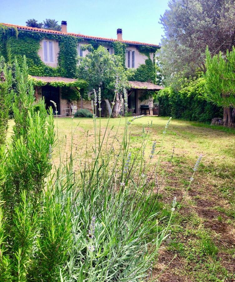 Agriturismo "Borgo Madonna Degli Angeli" - Charming Cottages In The Gardens ! Tocco da Casauria ภายนอก รูปภาพ