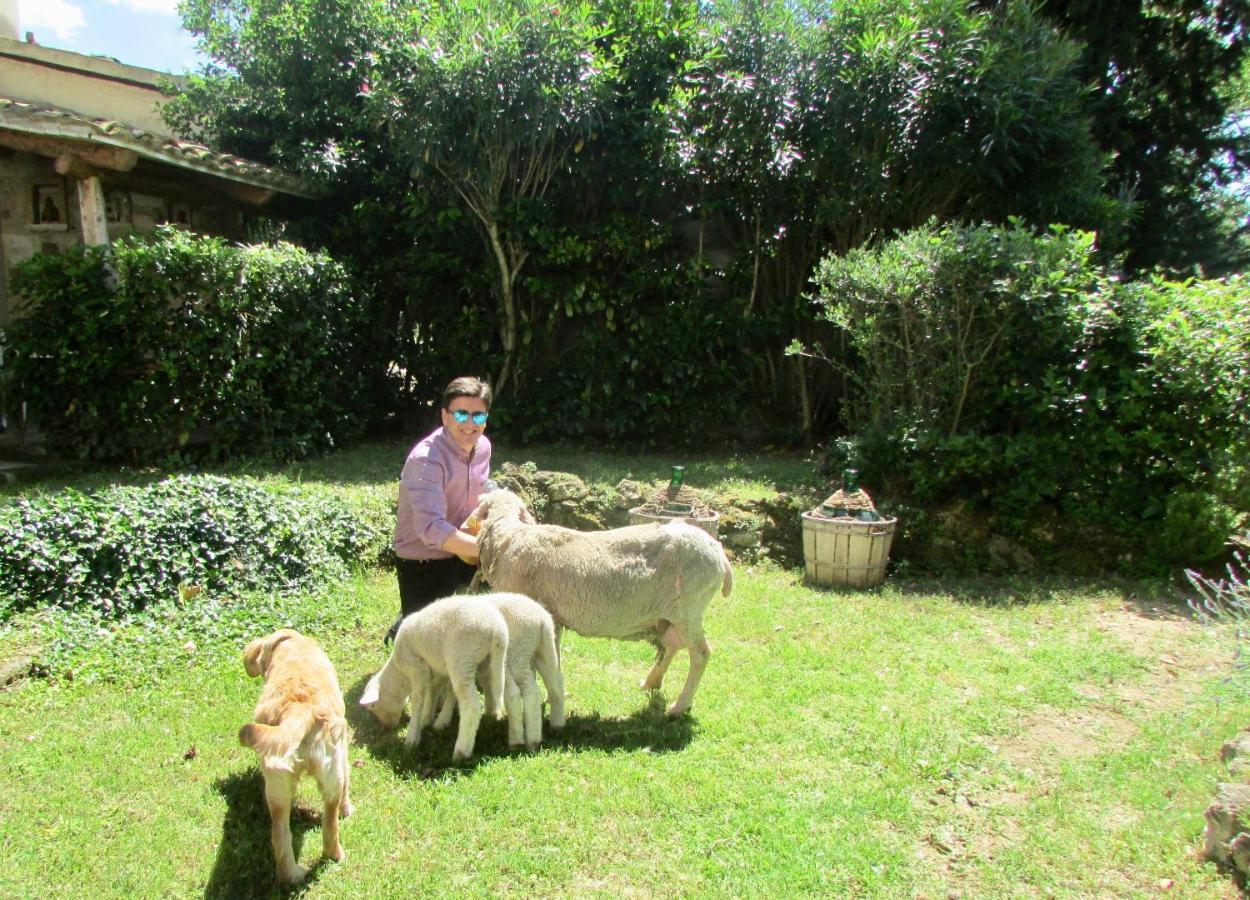 Agriturismo "Borgo Madonna Degli Angeli" - Charming Cottages In The Gardens ! Tocco da Casauria ภายนอก รูปภาพ