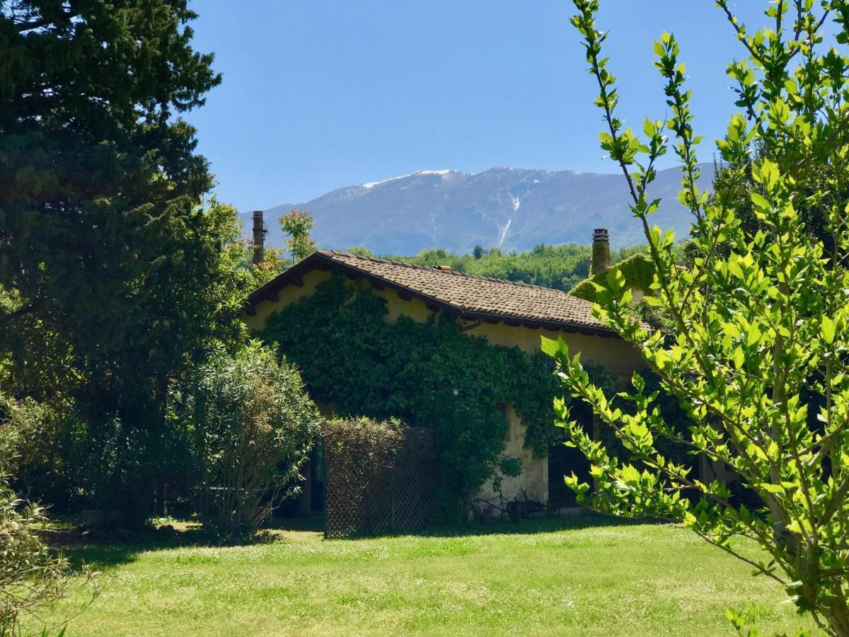 Agriturismo "Borgo Madonna Degli Angeli" - Charming Cottages In The Gardens ! Tocco da Casauria ภายนอก รูปภาพ
