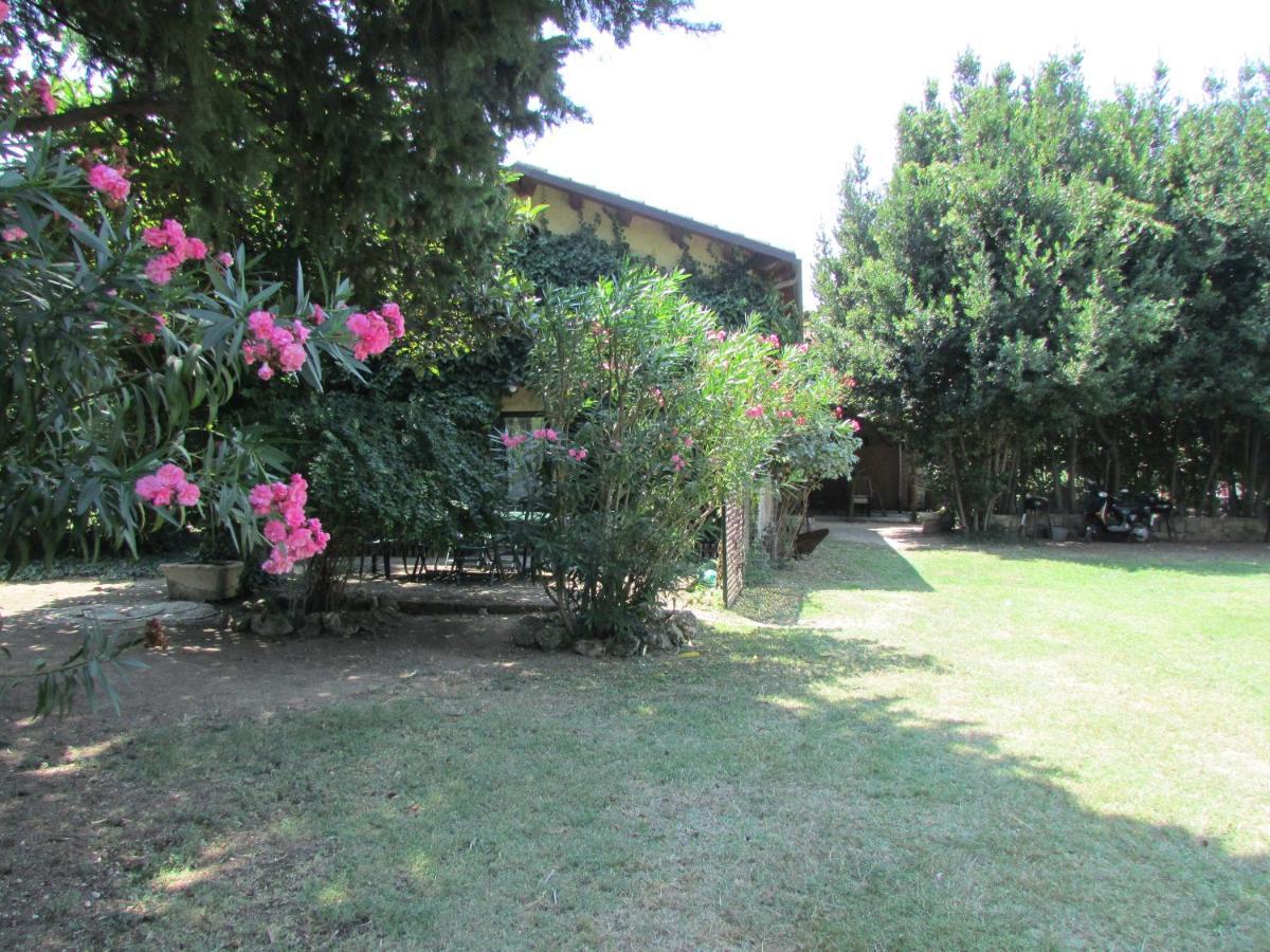 Agriturismo "Borgo Madonna Degli Angeli" - Charming Cottages In The Gardens ! Tocco da Casauria ภายนอก รูปภาพ