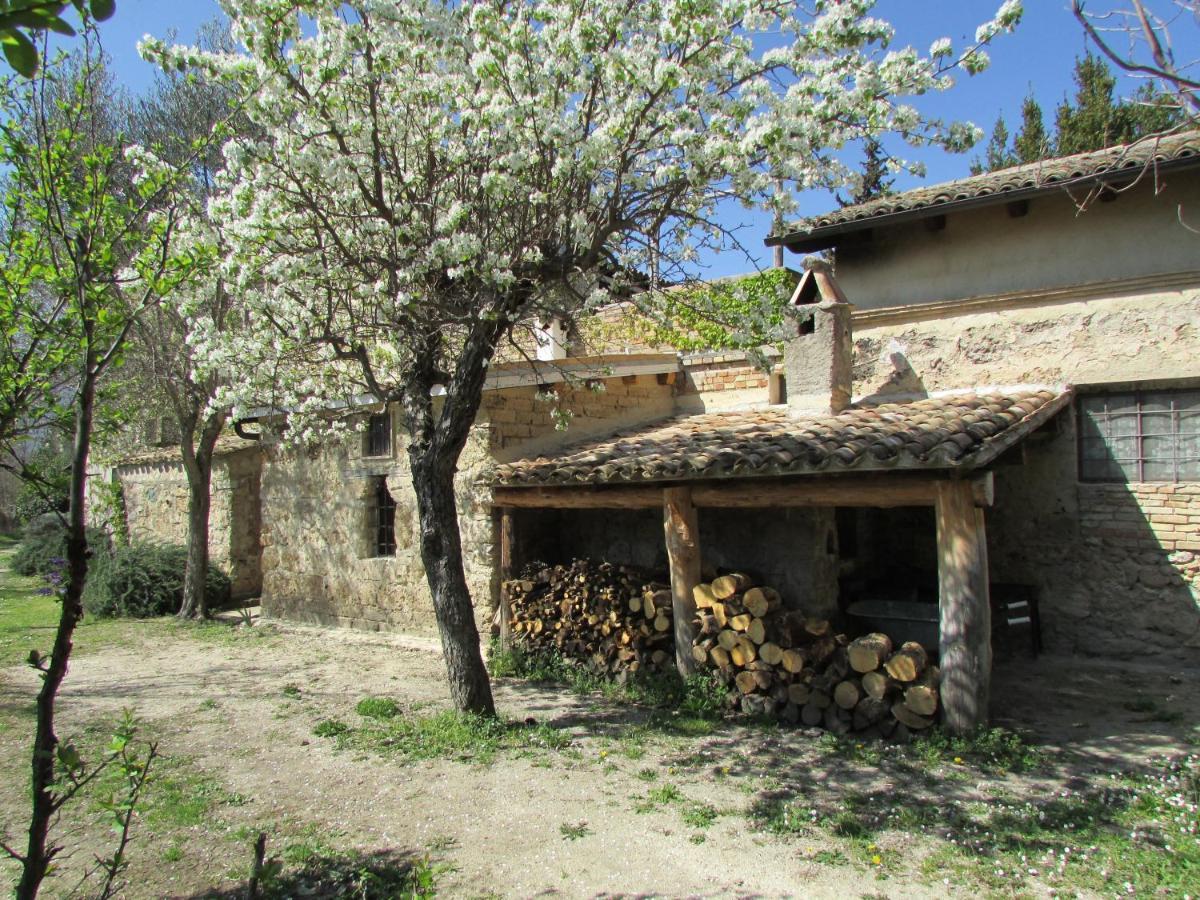 Agriturismo "Borgo Madonna Degli Angeli" - Charming Cottages In The Gardens ! Tocco da Casauria ภายนอก รูปภาพ