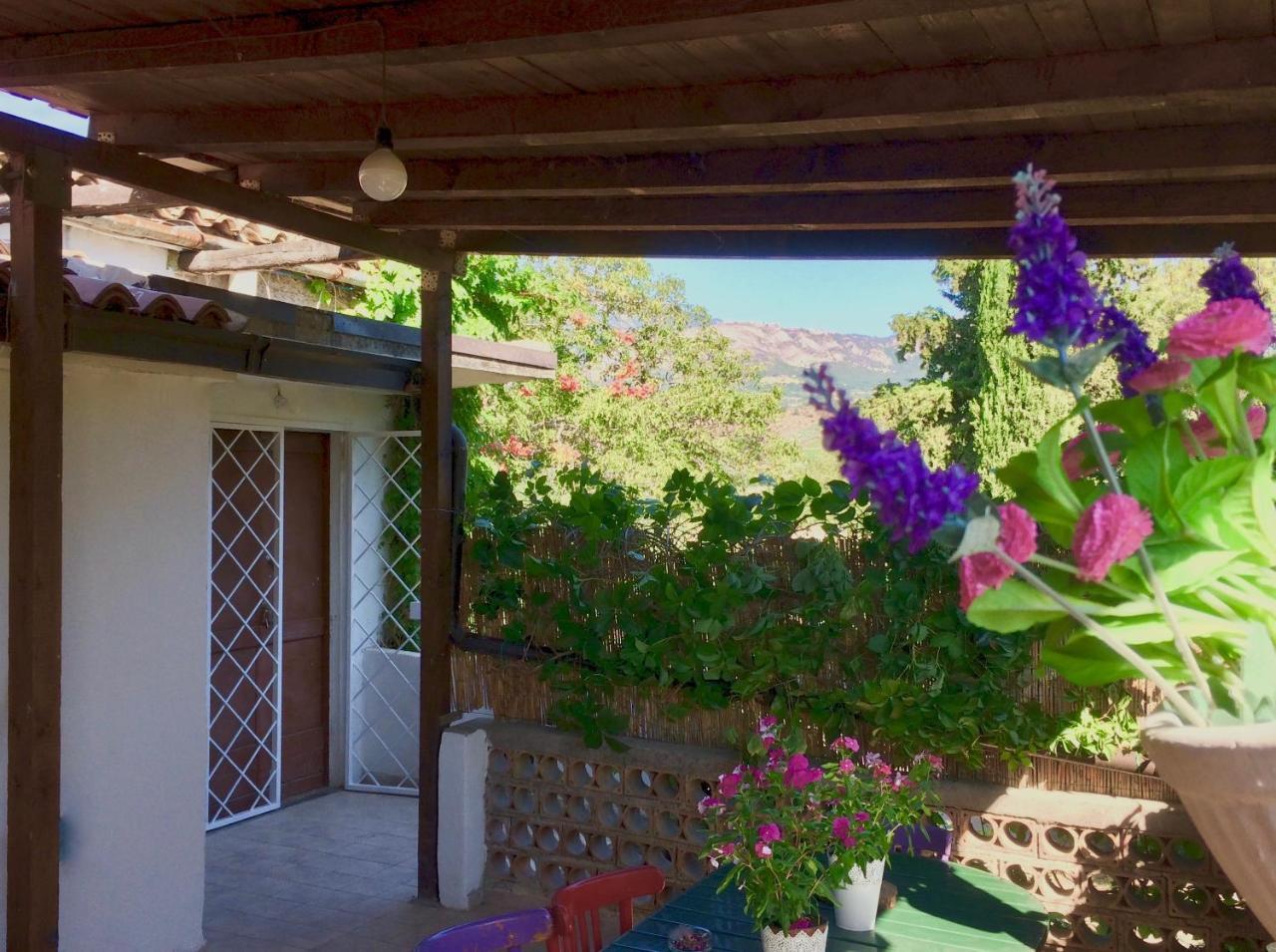 Agriturismo "Borgo Madonna Degli Angeli" - Charming Cottages In The Gardens ! Tocco da Casauria ภายนอก รูปภาพ